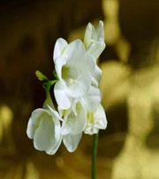 通化十二生肖看看你的幸运数字是什么吧！