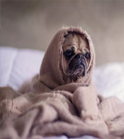 通化有这样的手机号码，留不住钱，你中枪了吗？