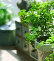 通化专属于你的开运指南，助你鸿运当头福满身！