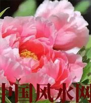 通化预示你财运上升，姻缘可成的梦境，快来看看吧！