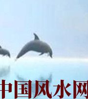 通化做梦梦到这些，是要富裕的征兆！