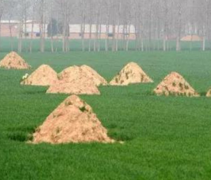 通化阴宅风水：形峦三十六绝